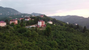 Hotels in Arsin